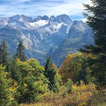 Dachstein Mountainview Gosau Lägenhet Exteriör bild