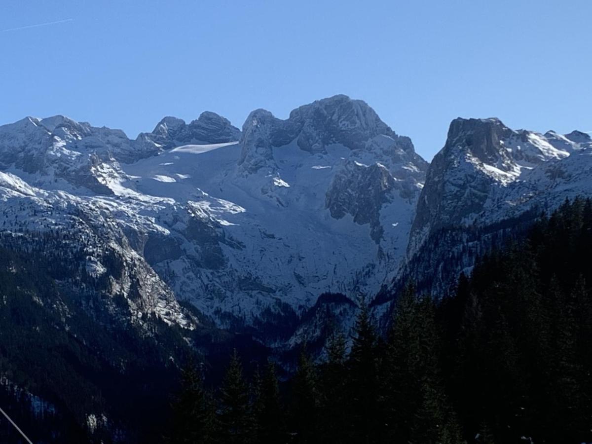 Dachstein Mountainview Gosau Lägenhet Exteriör bild