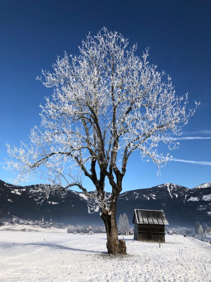 Dachstein Mountainview Gosau Lägenhet Exteriör bild