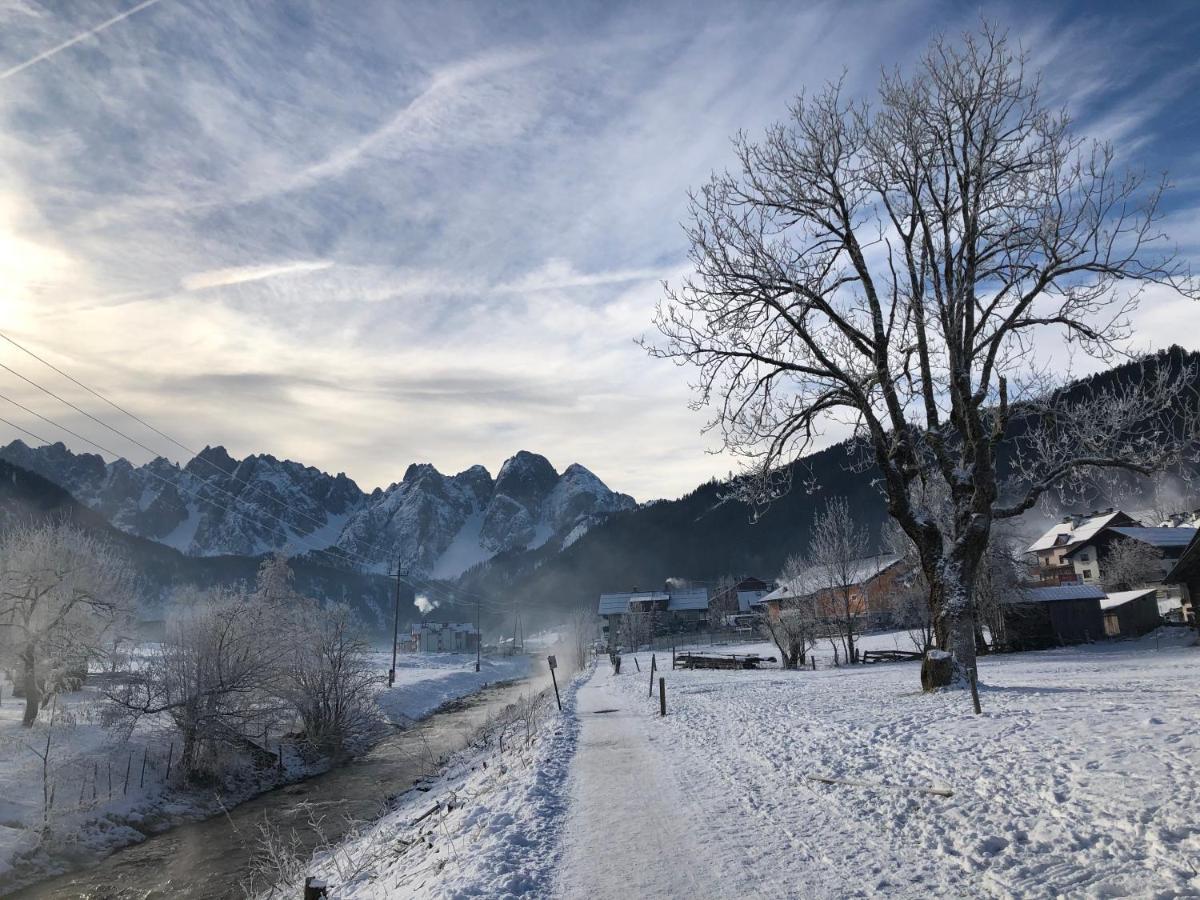 Dachstein Mountainview Gosau Lägenhet Exteriör bild