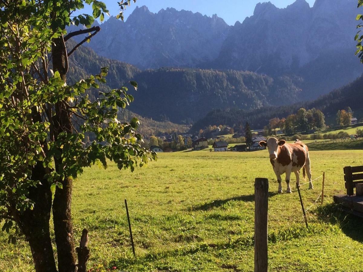 Dachstein Mountainview Gosau Lägenhet Exteriör bild