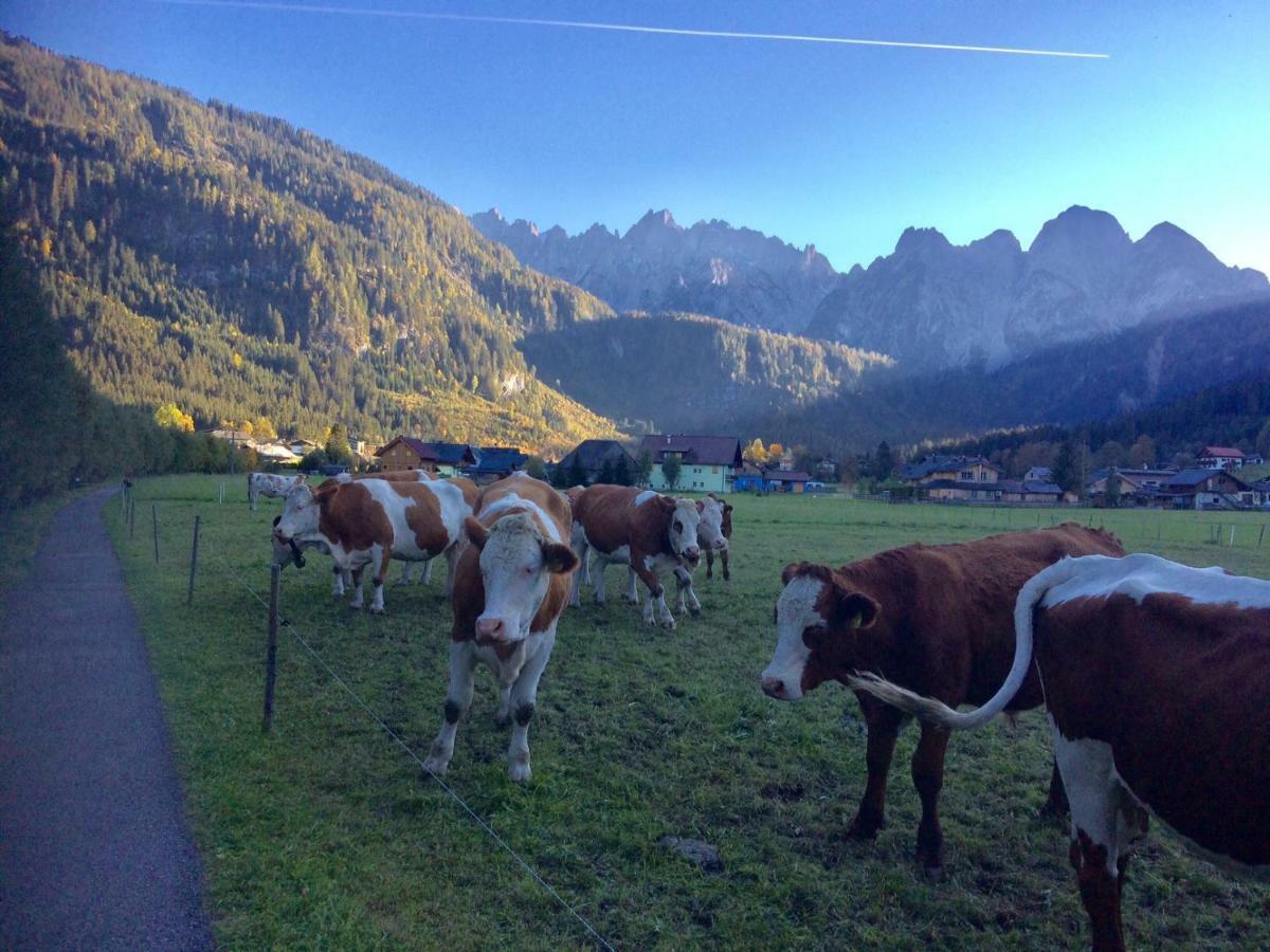 Dachstein Mountainview Gosau Lägenhet Exteriör bild