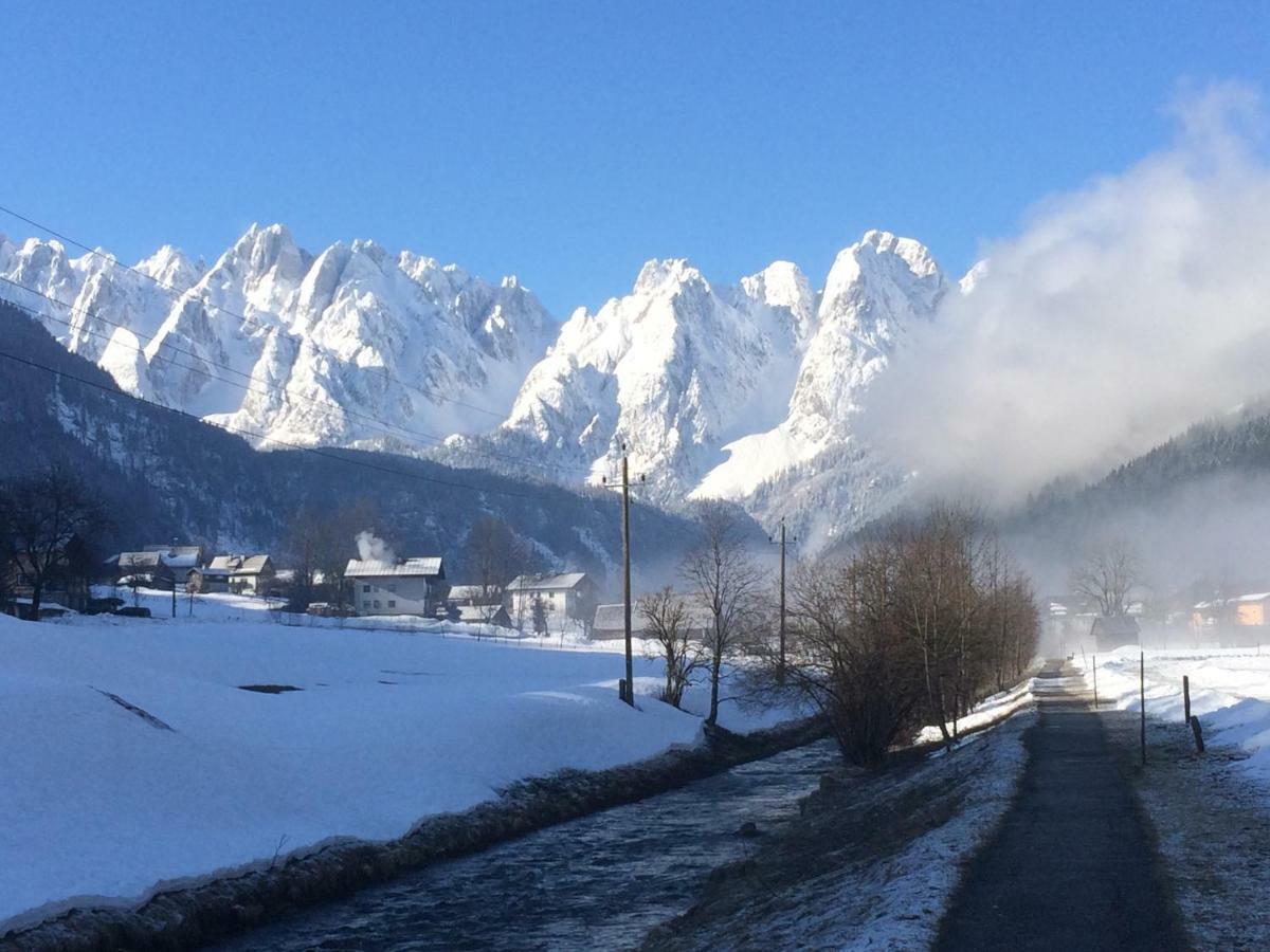 Dachstein Mountainview Gosau Lägenhet Exteriör bild