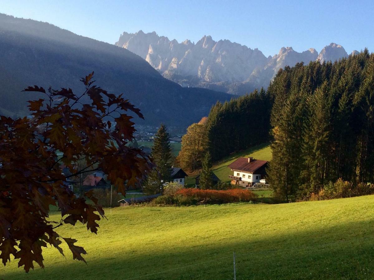 Dachstein Mountainview Gosau Lägenhet Exteriör bild