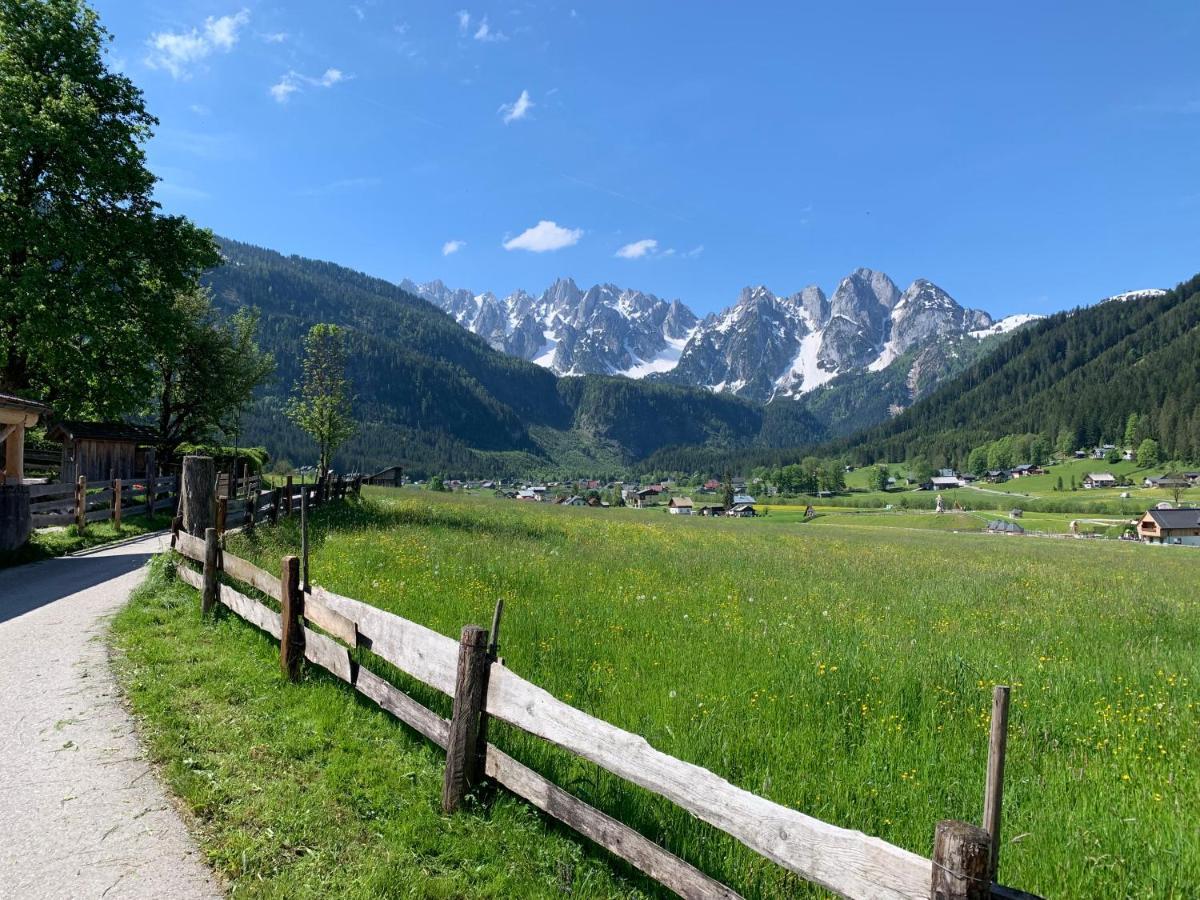 Dachstein Mountainview Gosau Lägenhet Exteriör bild